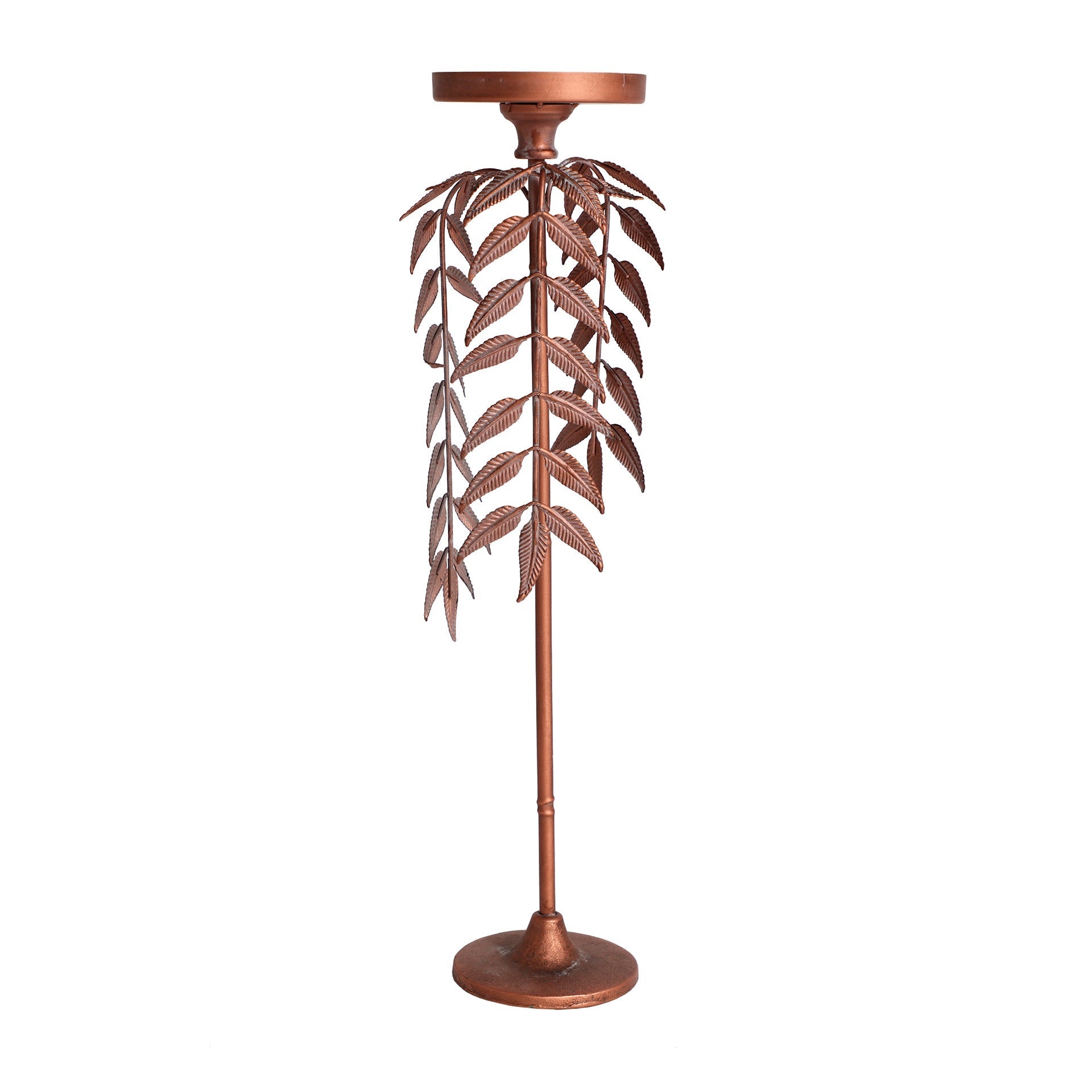 PALMERA LUCERNA CANDELABRA - ramustudio