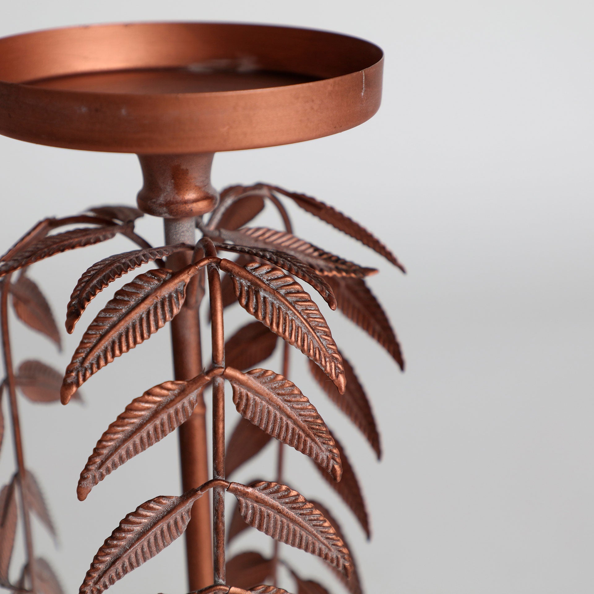 PALMERA LUCERNA CANDELABRA - ramustudio