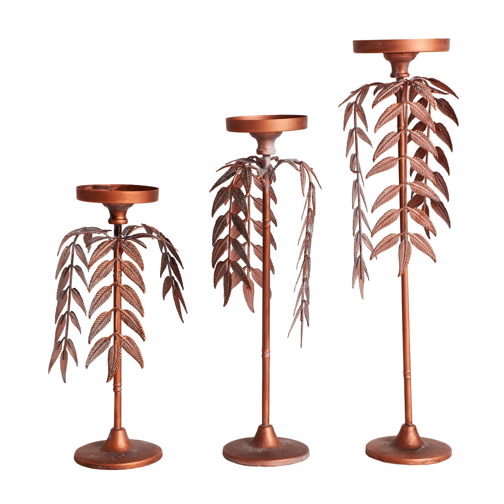 PALMERA LUCERNA CANDELABRA - ramustudio