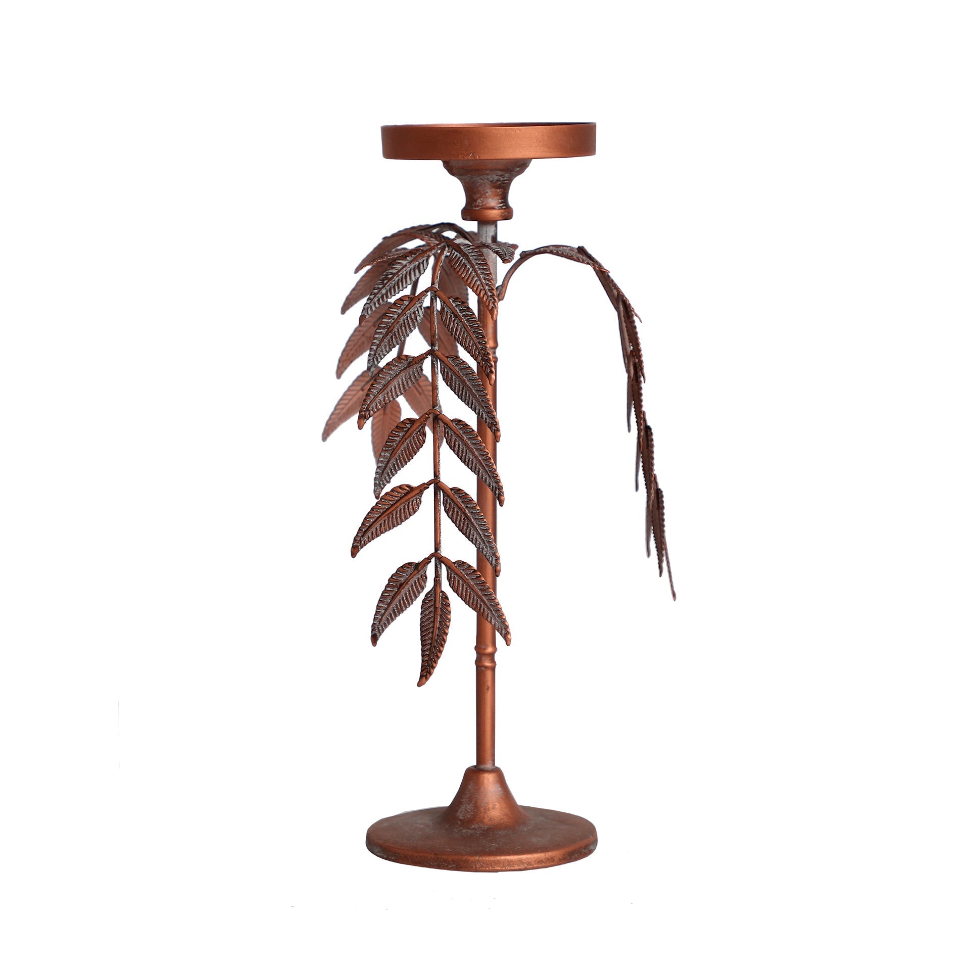 PALMERA LUCERNA CANDELABRA - ramustudio