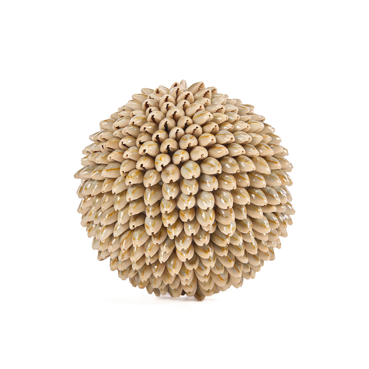 The Oluolu Shell Ball - L